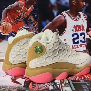 Air Jordan 13 Copper Money