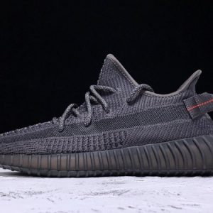 Yeezy 350 v2