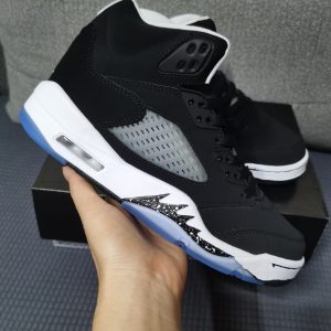 Air Jordan 5 Moonlight