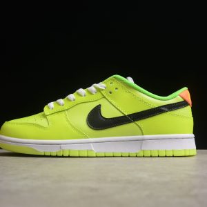 Nike Dunk Low SE 'Splash' FJ4610-702