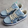 NK SB Dunk Low J-Pack "Shadow
