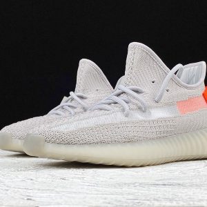 Yeezy 350V2 FX9017
