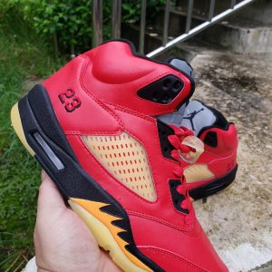 Men Multicolor Jordan retro 5 shoes