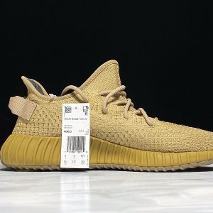 Yeezy 350 V2 Earth